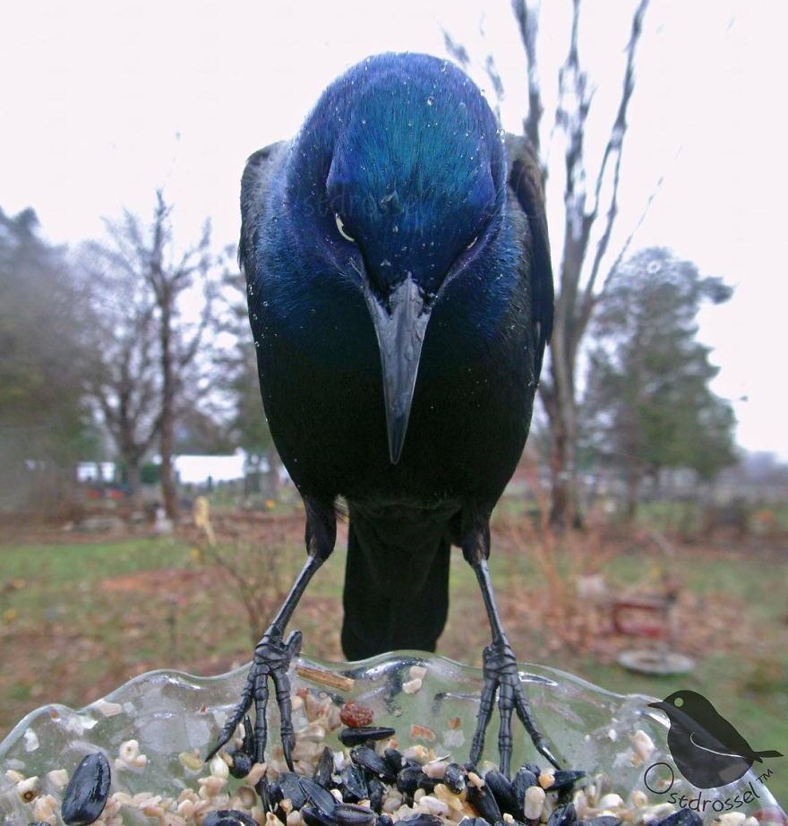 AgathaChocolats's tweet photo. In six words or fewer, write a story about this photo.
#sixwordstory #WritingCommunity https://t.co/gRVjtob3vt
