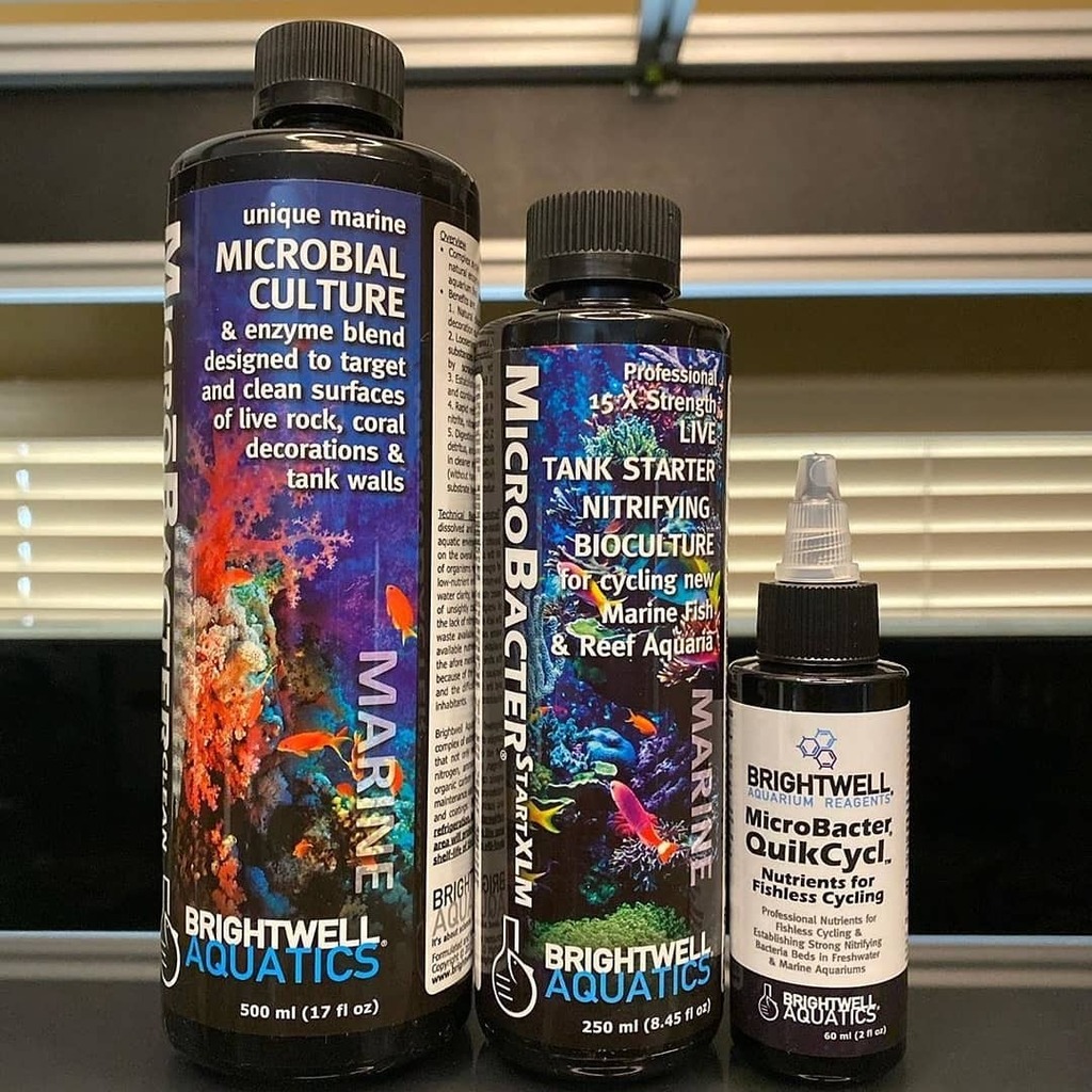 Featured image of post Sdreefs