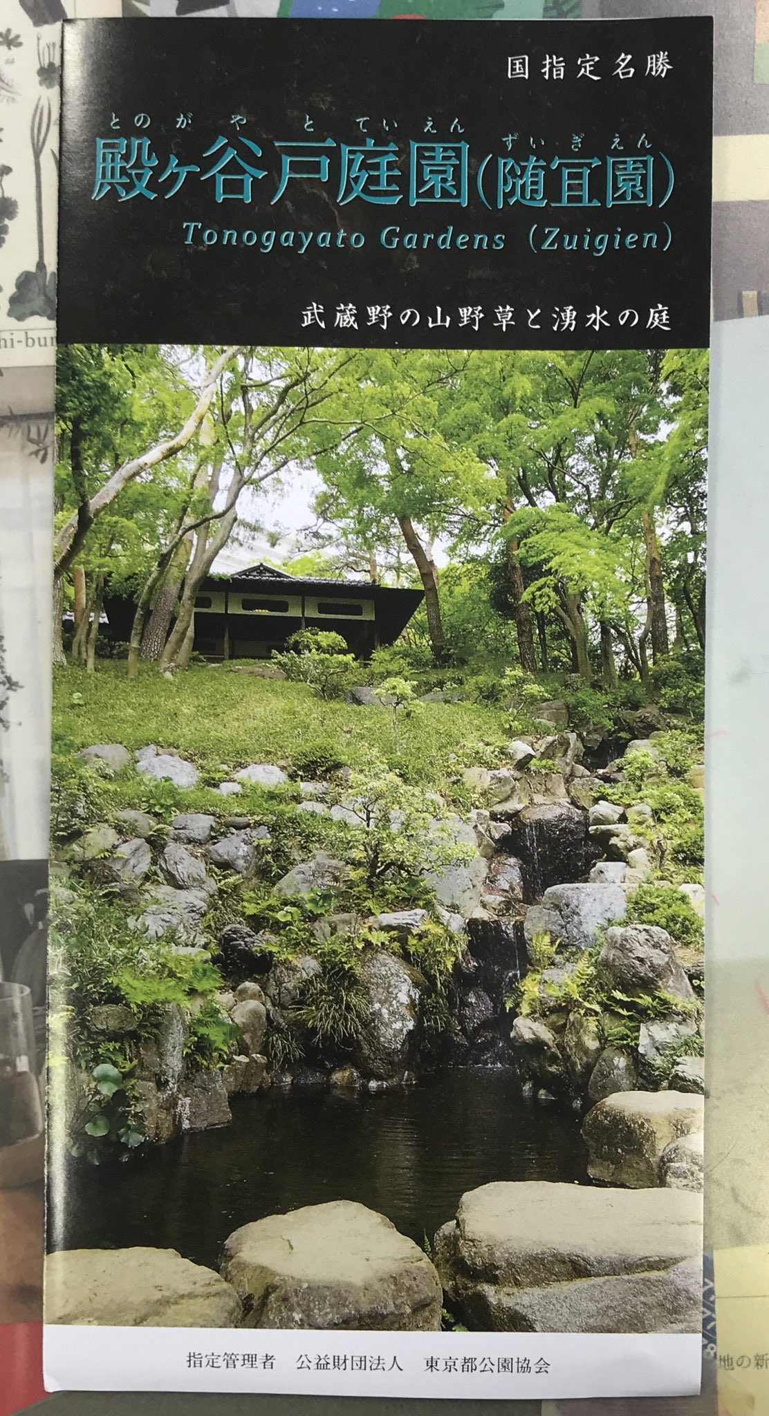 渋谷区ふれあい植物センター 軟式 スタッフ宮 国分寺の殿ヶ谷戸庭園さん Tonogayatoteien から うち季刊誌置いてもええで と連絡が 神か 武蔵野の山野草と湧水で育った神なのか 感謝 ということで ふれあい植物便り55号が 殿ヶ谷戸庭園さんにて貰え