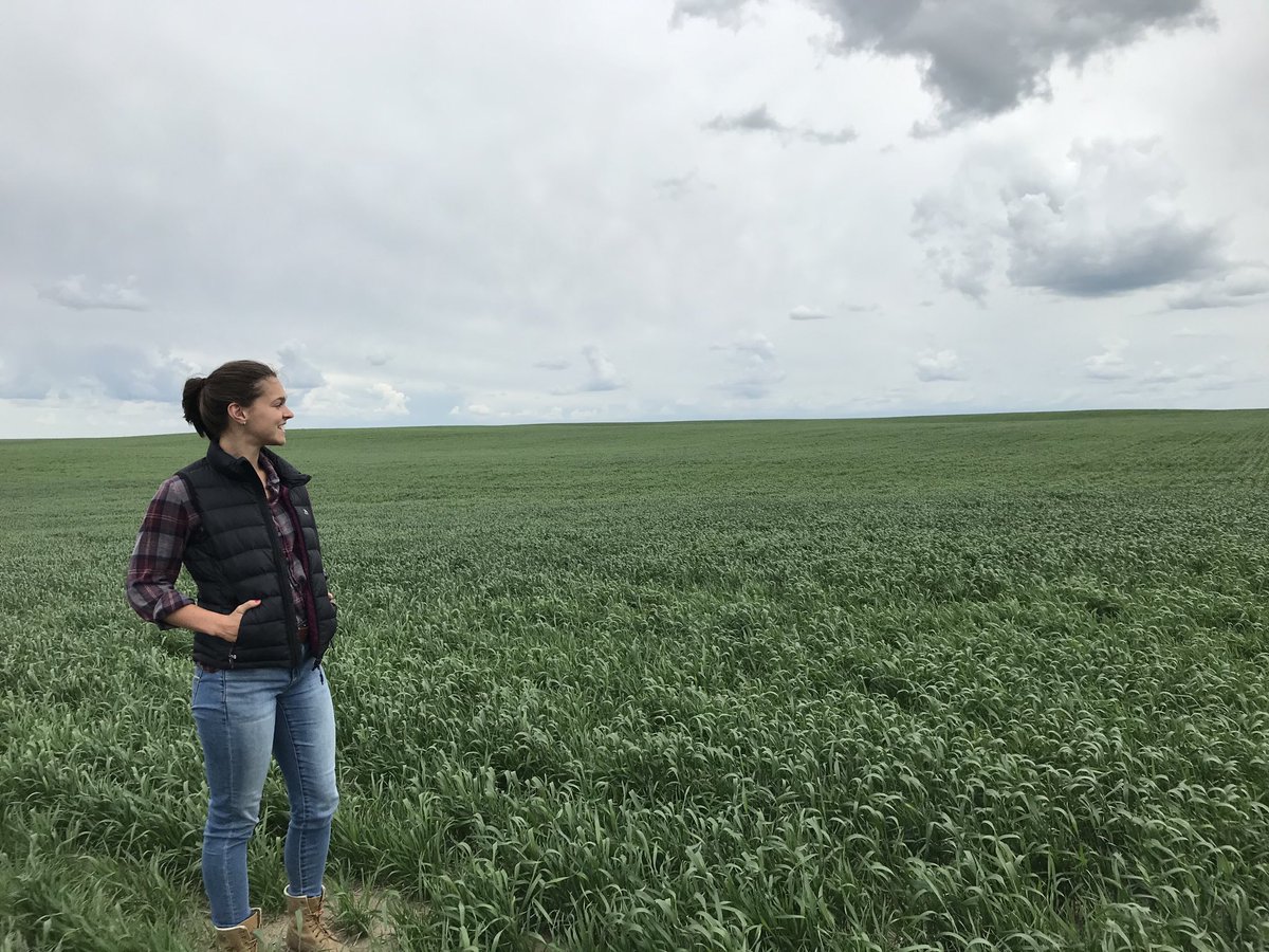 chinridge's tweet photo. My niece Katelyn Ritchie and I were doing a field tour today and our #AACViewfield wheat is looking great! Katelyn has just graduated from U of A and is going to be helping us manage our seed plots and pedigreed fields this summer. Happy to have her on board! https://t.co/hQjzCY04sj