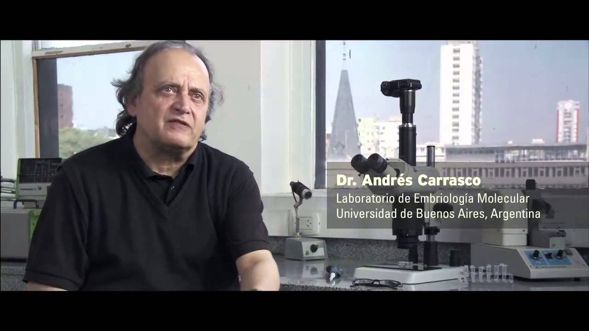 Hoy se celebra el #DíaDeLaCienciaDigna en homenaje al Dr.Carrasco (en el día de su nacimiento), científico que denunció los efectos nocivos del glifosato para la salud
Si te interesa, podés ver la peli sobre su historia:
Andrés Carrasco, Ciencia disruptiva
bit.ly/2C9s1Sp