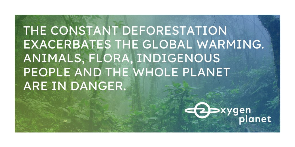 OxygenPlanet's tweet photo. #SaveTheAmazon 

✅Recycle, avoid plastic
✅Plant trees (defense against #GlobalWarming)
✅Use water properly
✅Trace the products origin, their environmental impact
✅Investigate your community, leaders &amp; get involved 
✅Support @RainforestTrust @RnfrstAlliance @AmazonWatchAAU https://t.co/PmOh0EHUux