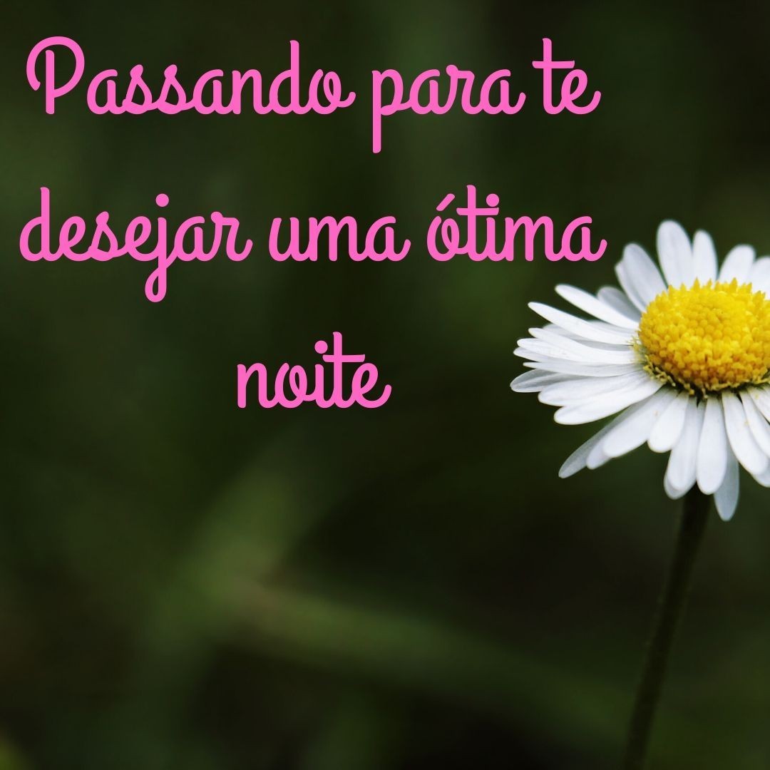 Marinês Ciardulo (@mciardulo) on Twitter photo 