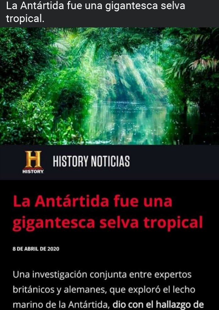 #LaMascotaDelCartel