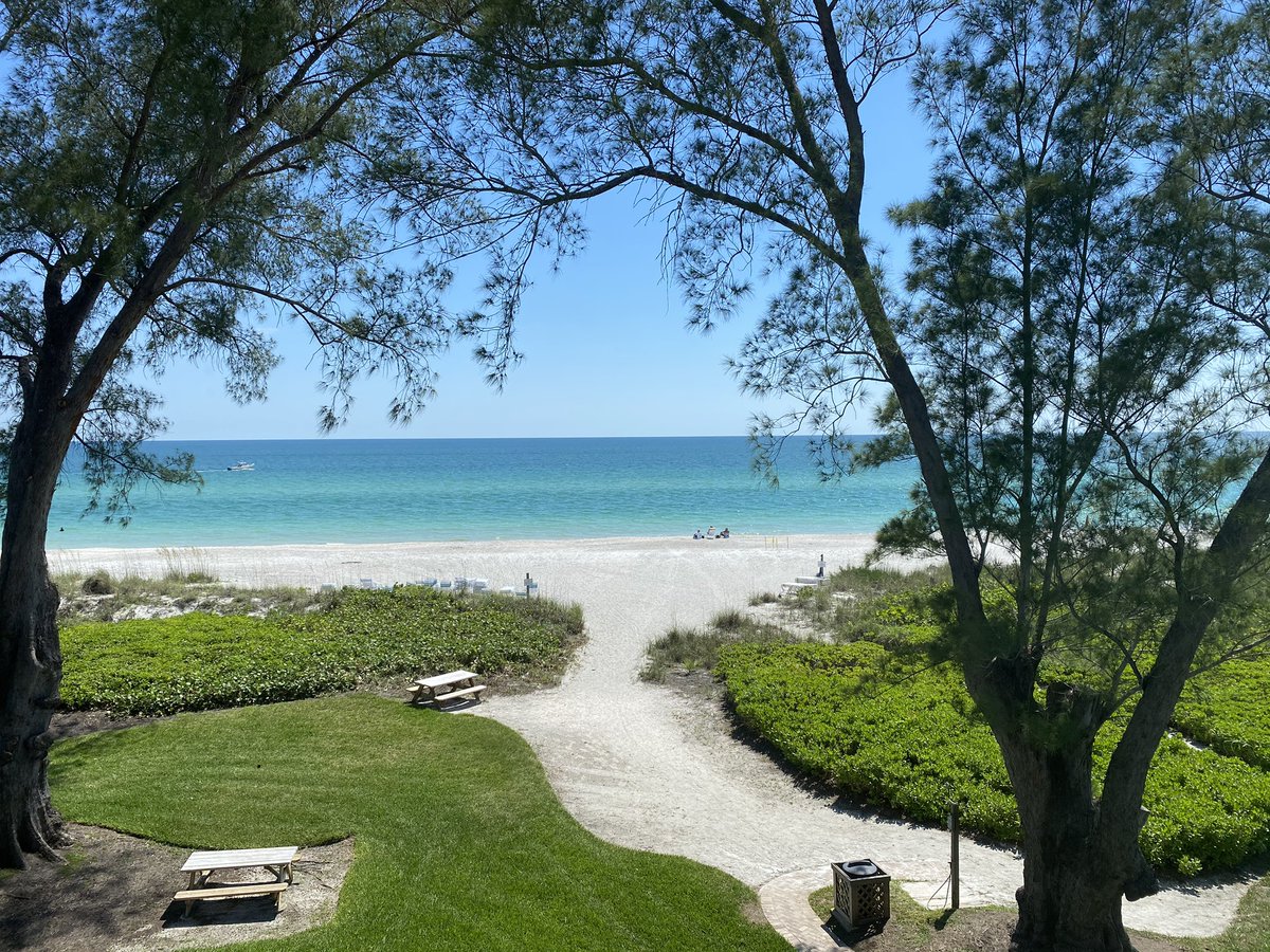 Whitney Sagraves tweet media