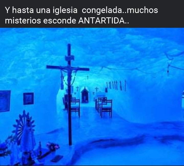 Por favor😮😱#LaMascotaDelCartel