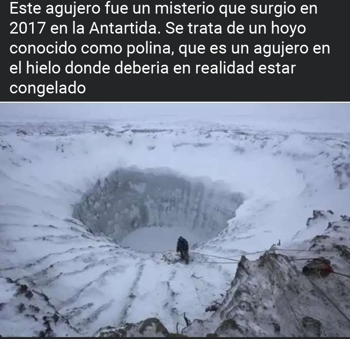 #LaMascotaDelCartel