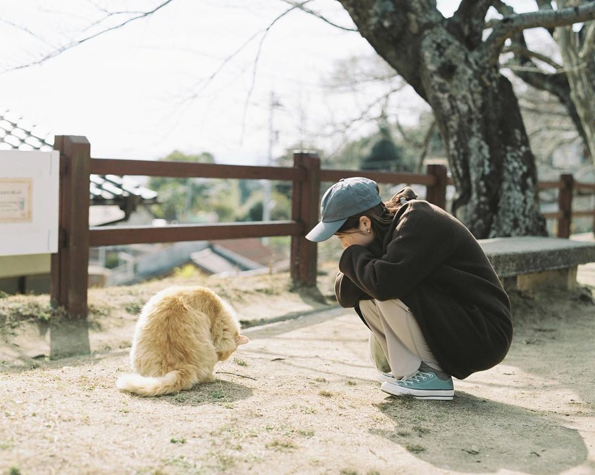 onescene_com's tweet photo. いつか大切な人と見返せるように。 “何気ない”を写真というカタチに残していく
@kazuma27902665 さん
https://t.co/021aNTgFVN
—
見ている側にまで穏やかでkazumaさんの優しい気持ちが伝わってきます✨
#67ii #pentax67ii #バケペン #フィルムカメラ #フィルム写真 #onescene_com https://t.co/qdshATeet4