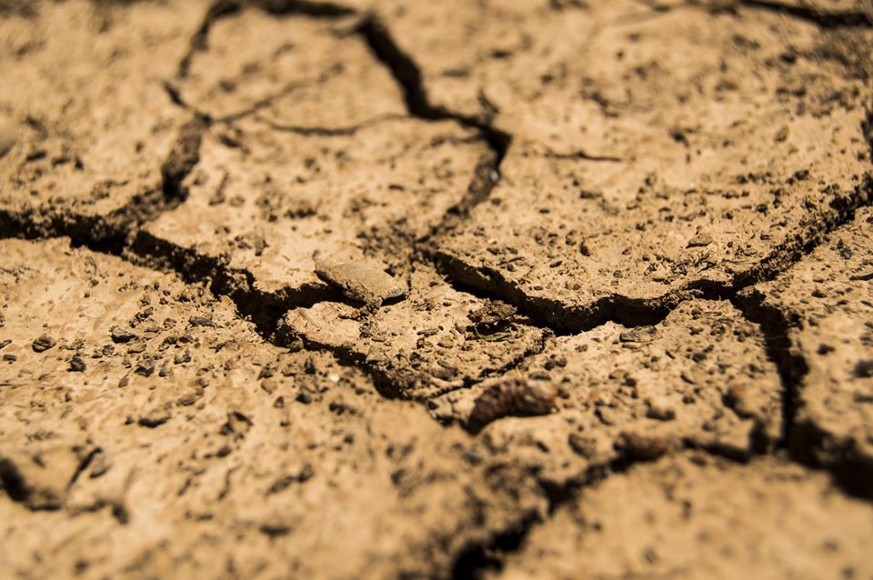 SCWCambodia's tweet photo. Desertification often induced by deforestation and unsustainable farming is a major problem in times of climate change and affects the livelihood of people and animals all around the world. #WDCDD ☀️

To reduce desertification and drought in Cambodia: https://t.co/qZb3dXH5Lw 👩‍🌾🌾 https://t.co/YtYvmupLD8