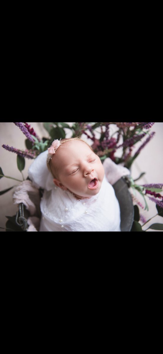Morgan_Bailey22's tweet photo. Newborns💓 https://t.co/Juwzo1CRqq