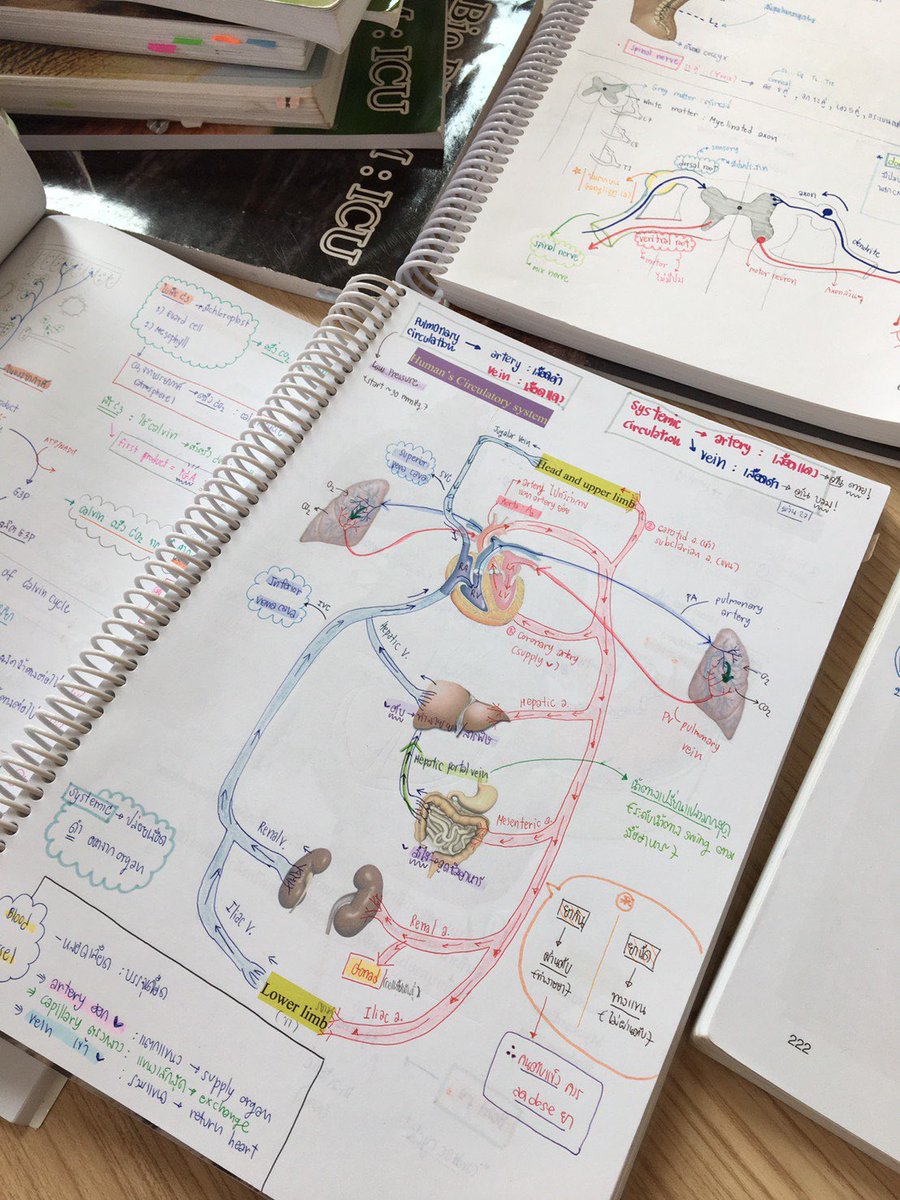 book2562's tweet photo. ตัวอย่างหนังสือนะคะะะะ มีอีกหลายวิชาเลยยย
2ทุ่มเจอกานนน🥰 https://t.co/C2dhnDkdgy