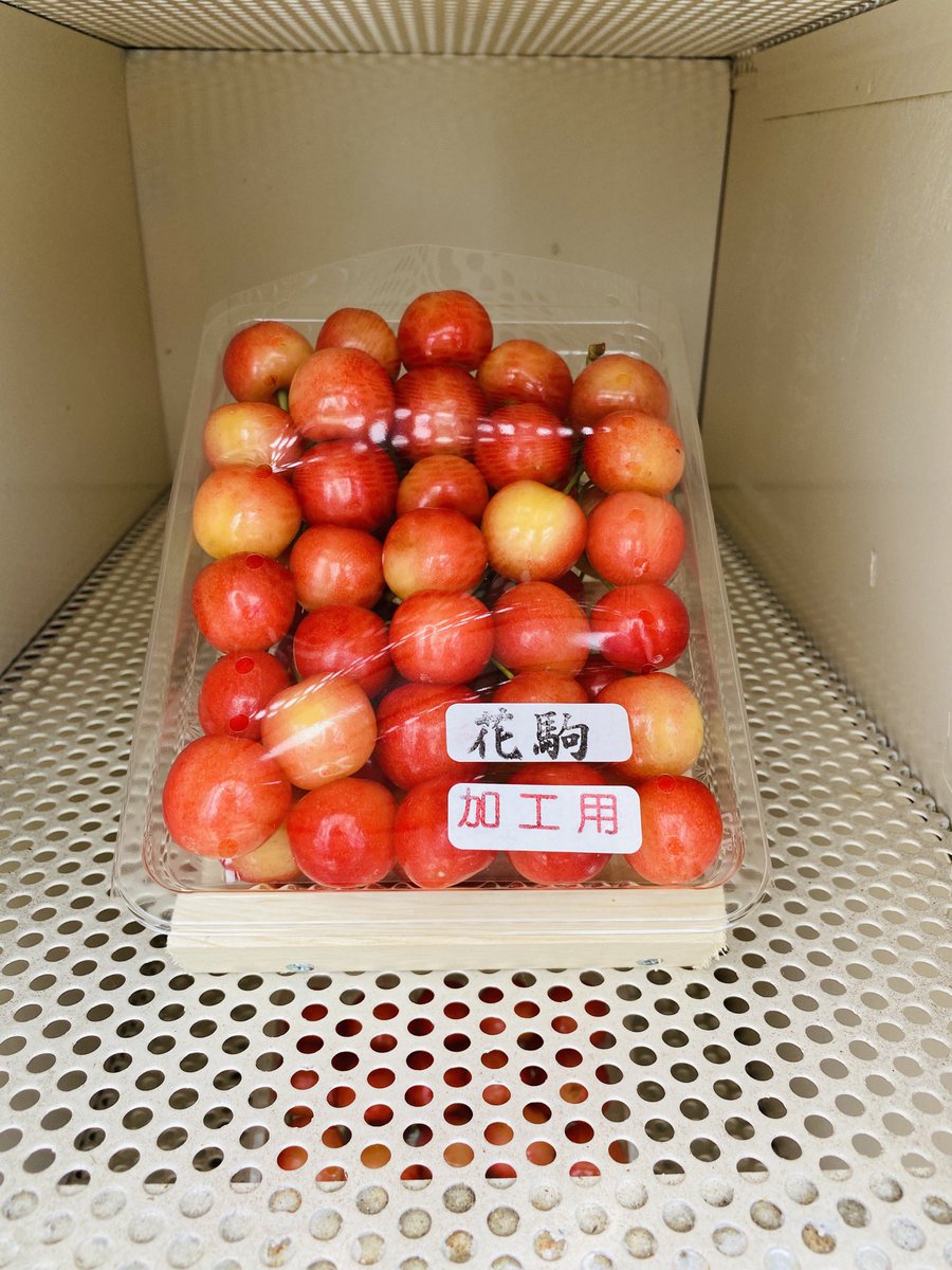 大友農園 こんにちは 無人販売機にサクランボ入りました 本日も宜しくお願い致します 品種 花駒 ハナコマ 価格 300円 フードパック 300円 加工用 サクランボ 福島市 果樹農家 大友農園 無人販売 T Co Aisfsmmlpw 大友農園 こんにちは 無人販売機にサクランボ入りました 本日も宜しくお願い致します 品種 花駒 ハナコマ 価格 300円 フードパック 300円 加工用 サクランボ 福島市 果樹農家 大友農園 無人販売 T Co Aisfsmmlpw