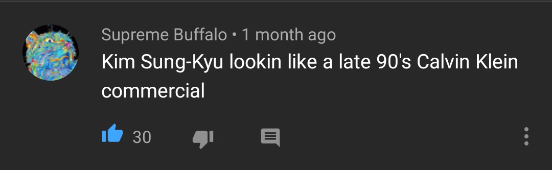 youtube comments about Kim Sungkyu that are such a big mood, a thread