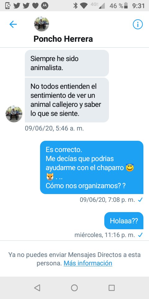 MxActivista's tweet photo. 🛑👎Resulta que algunas personas ofrecen ayuda a animalitos en situación de calle para ganar likes o followers (mayoría bots) y cuando preguntas por la ayuda, te dicen qe los Hostigas y que te van a acusar con su Mamá y aparte te bloquean por preguntar 🤮 #WTFake a sus 40 años 🤦🏻♂️ https://t.co/FSrTly9IVU