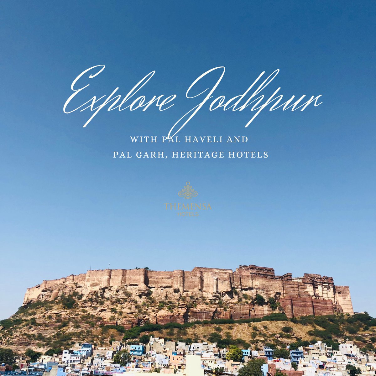 themensaindia's tweet photo. Explore #jodhpur with our #partners post #pandemic.  #travel #tourism #hospitality https://t.co/U3umaxDBAq