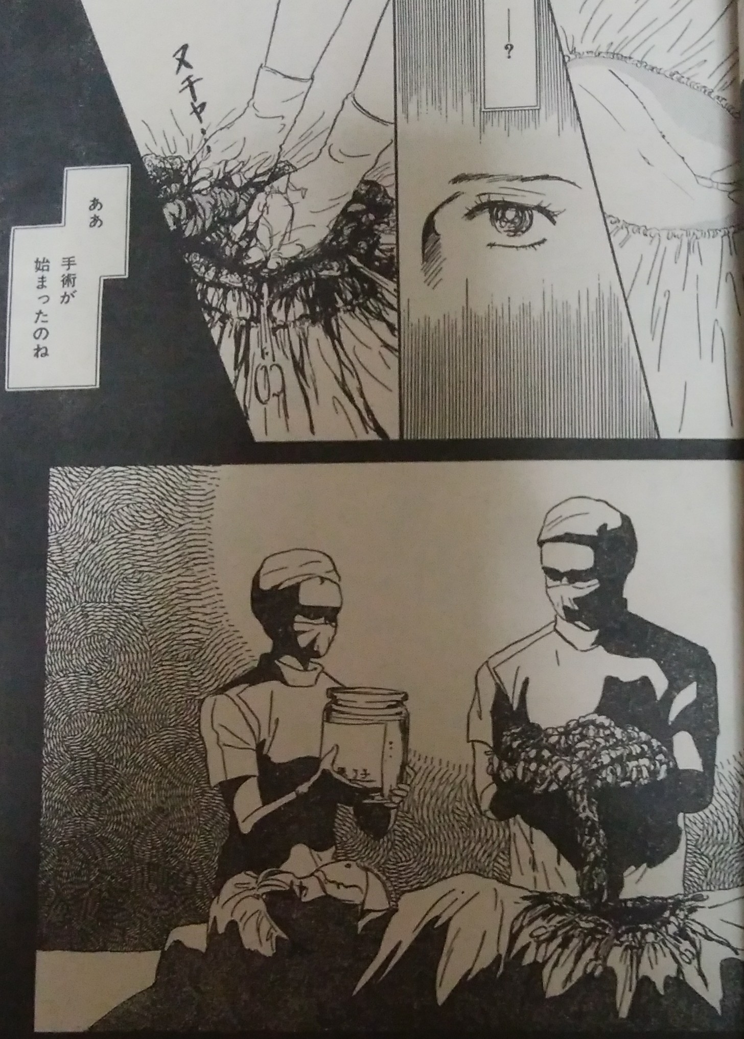 緑の五寸釘 日本初のホラー漫画誌ハロウィンの創刊号はいいですね 高口里純 聖餐 少女を支配する悪夢を描いたもので凄惨な描写が 光ります 構成もうまくて苦虫かみつぶしたような余韻が訪れる嫌ーな話 創刊号に相応しい気合の入った作品です ホラー