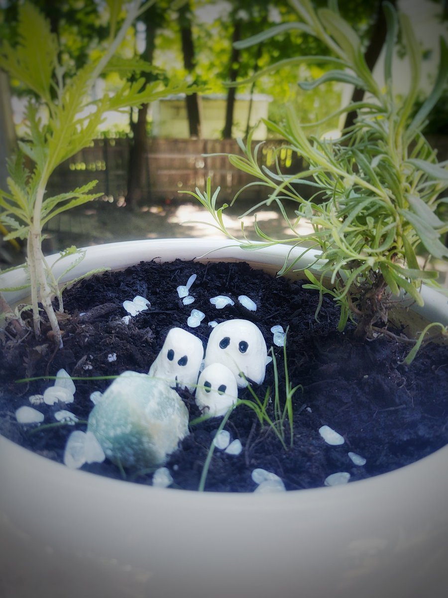 Gardens For Ghosts tweet media