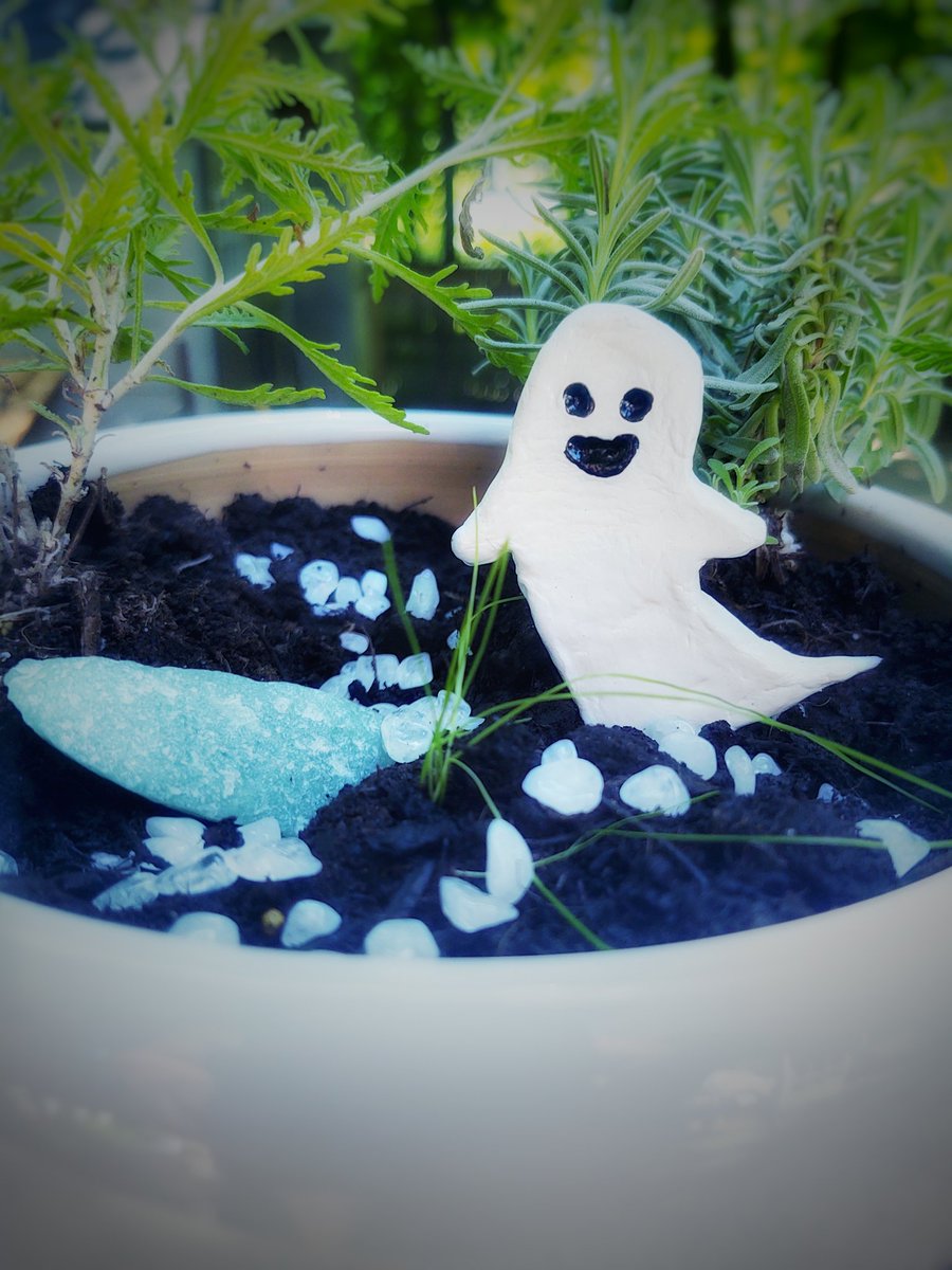 Gardens For Ghosts tweet media