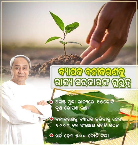 BJDWithBoudh's tweet photo. ପରିବେଶ ସୁରକ୍ଷା ଓ ବନୀକରଣକୁ ରାଜ୍ୟ ସରକାରଙ୍କ ପ୍ରାଥମିକତା । ଅଗଷ୍ଟ ମାସ ସୁଦ୍ଧା ରାଜ୍ୟରେ ୧୫ କୋଟି ବୃକ୍ଷ ରୋପଣ ଲକ୍ଷ୍ୟ ରଖିଛନ୍ତି ରାଜ୍ୟ ସରକାର । ବନୀକରଣ କାର୍ଯ୍ୟକ୍ରମକୁ ବ୍ୟାପକ କରିବାକୁ ଗଠନ ହେବ ୧ ହଜାର ବନ ସଂରକ୍ଷଣ ସମିତି ଓ ଖର୍ଚ୍ଚ ହେବ ୫୦୦ କୋଟି ଟଙ୍କା । https://t.co/9X9VFOQYU2