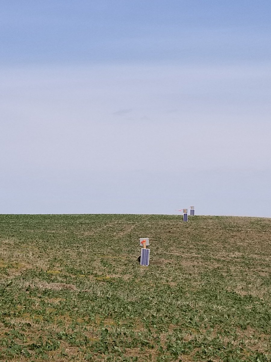 Our moisture probes with <a href="/Lockeal/">Alan Moulin</a> were installed this week into VR strips nested in the field production zones at our Living Labs research field