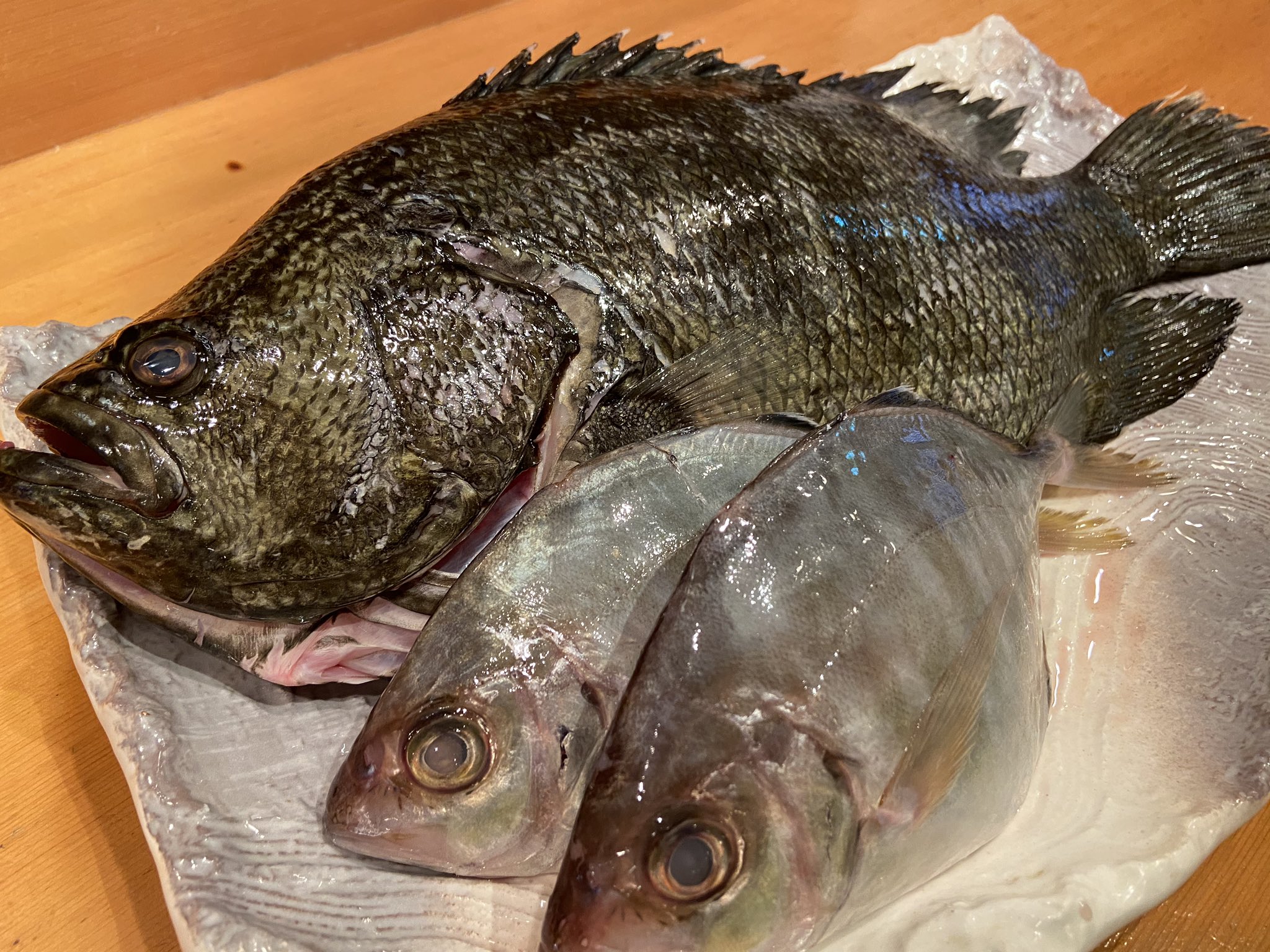 釣り魚の店 舟武 本日特にオススメの魚 松鯛 カイワリ 松鯛 尾ひれが3っある様に見えて硬い鱗がある淡白美味な珍しいお魚です カイワリもシマアジ寄りの珍しいアジ科の魚でとても美味しいですよー その他美味しいお魚がたくさん ご来店お待ちして