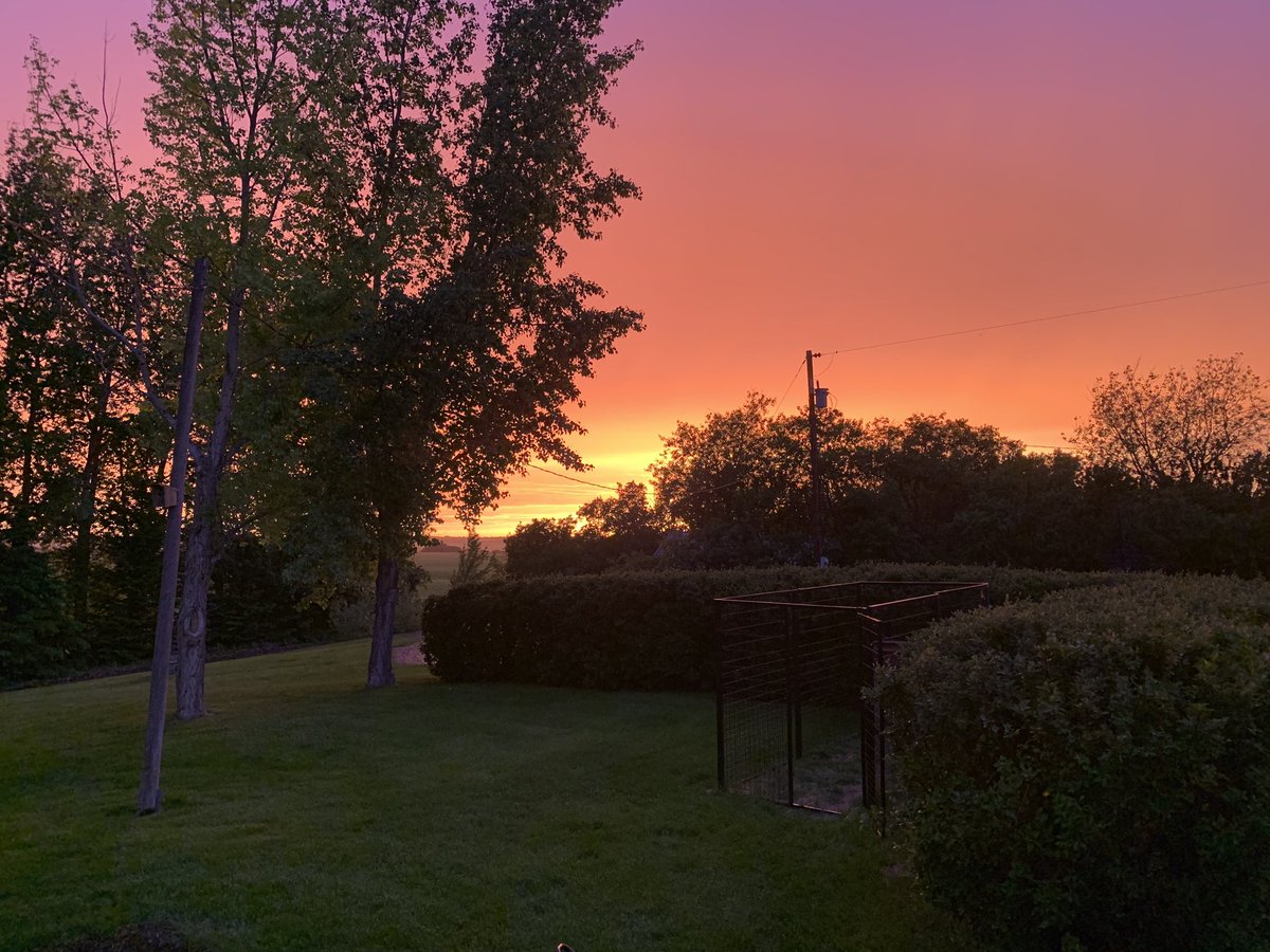 BleederofGreen's tweet photo. I would’ve went around the trees to get an unobstructed shot, but I wasn’t going to battle the mosquitoes. #sk #thegoodwiththebad https://t.co/ndzwTwh3Fh