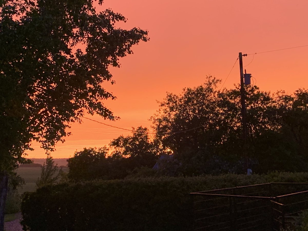 BleederofGreen's tweet photo. I would’ve went around the trees to get an unobstructed shot, but I wasn’t going to battle the mosquitoes. #sk #thegoodwiththebad https://t.co/ndzwTwh3Fh