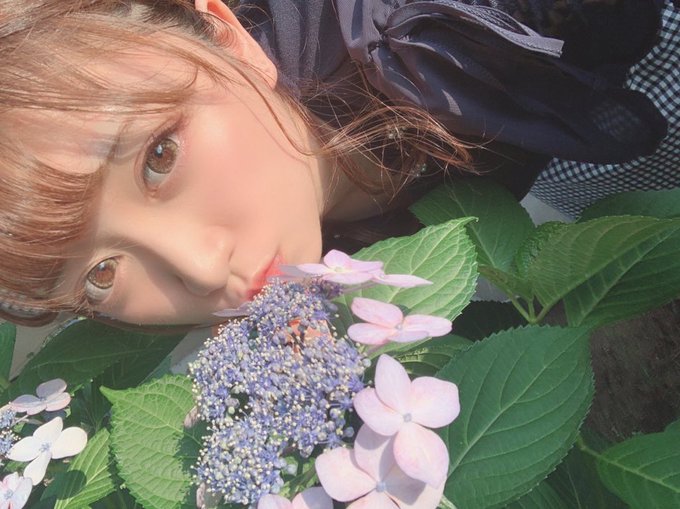 コスプレイヤーひまわりありすのTwitter画像32