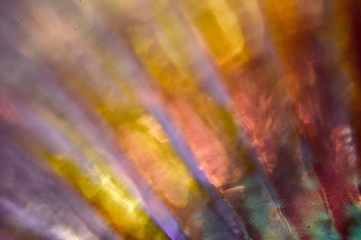 bluelensphotouk's tweet image. A little #abstractcolour from #abstractmacrophotography