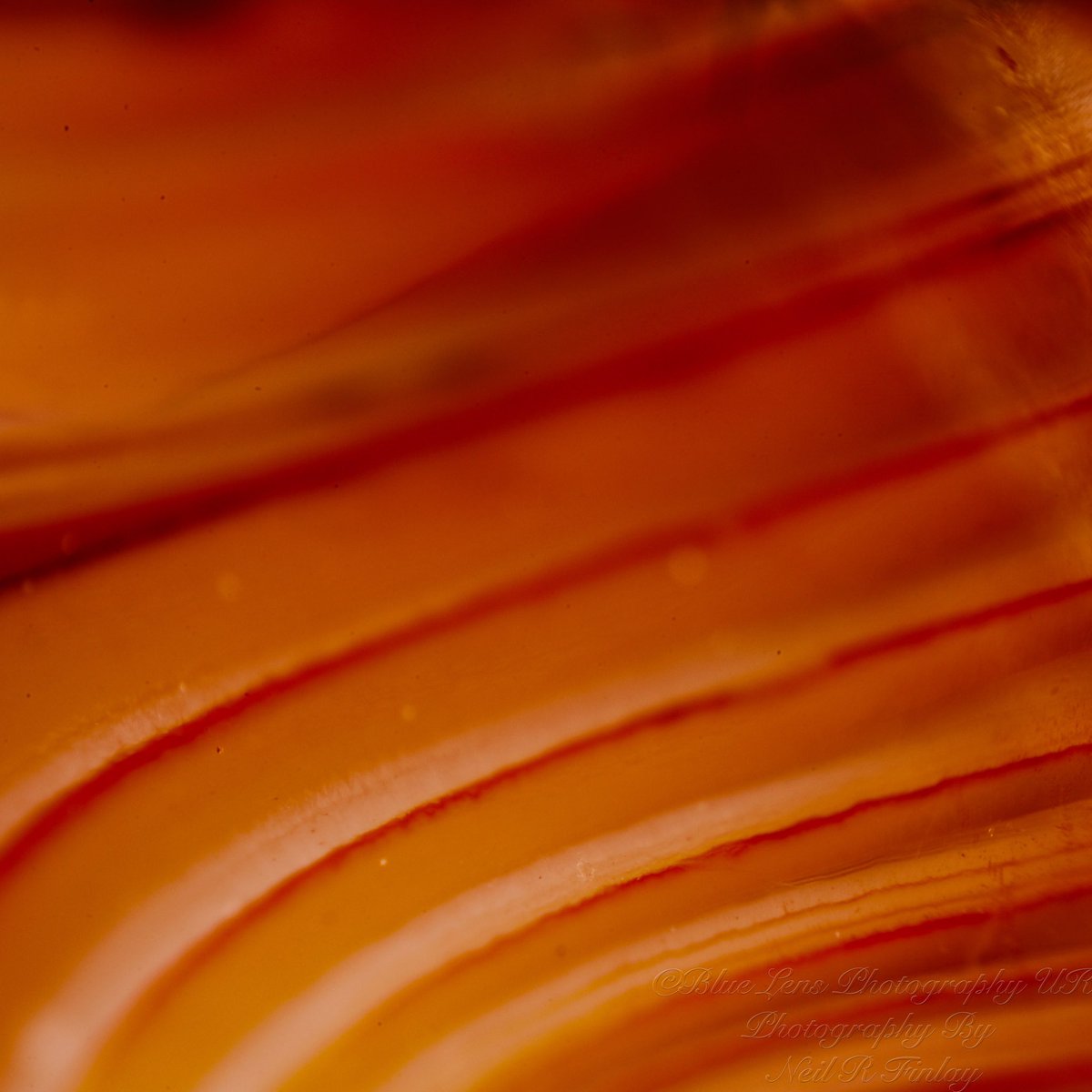 bluelensphotouk's tweet image. A little #abstractcolour from #abstractmacrophotography
