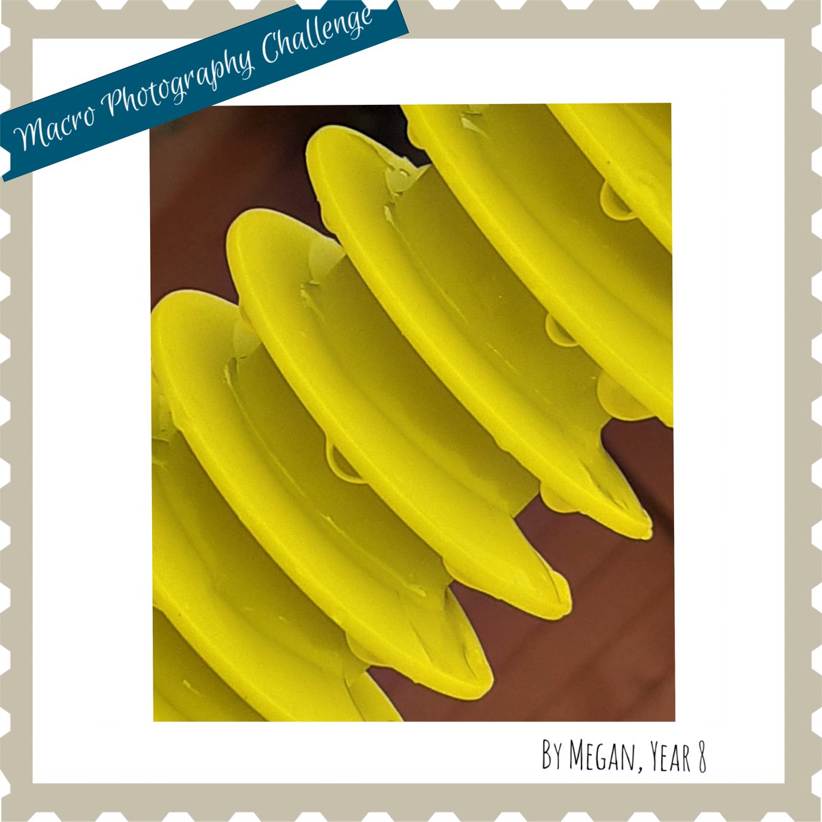qphschester's tweet photo. Can you guess what it is? This macro #photo challenge for @qphs6thform to capture a view from an unusual perspective &amp; create a new beauty from the ordinary was sent in by Megan in Year 8 who enjoys photography &amp; fancied giving the challenge a go! We love the pic 🌟#clickhappy https://t.co/jtg4GXXCsc