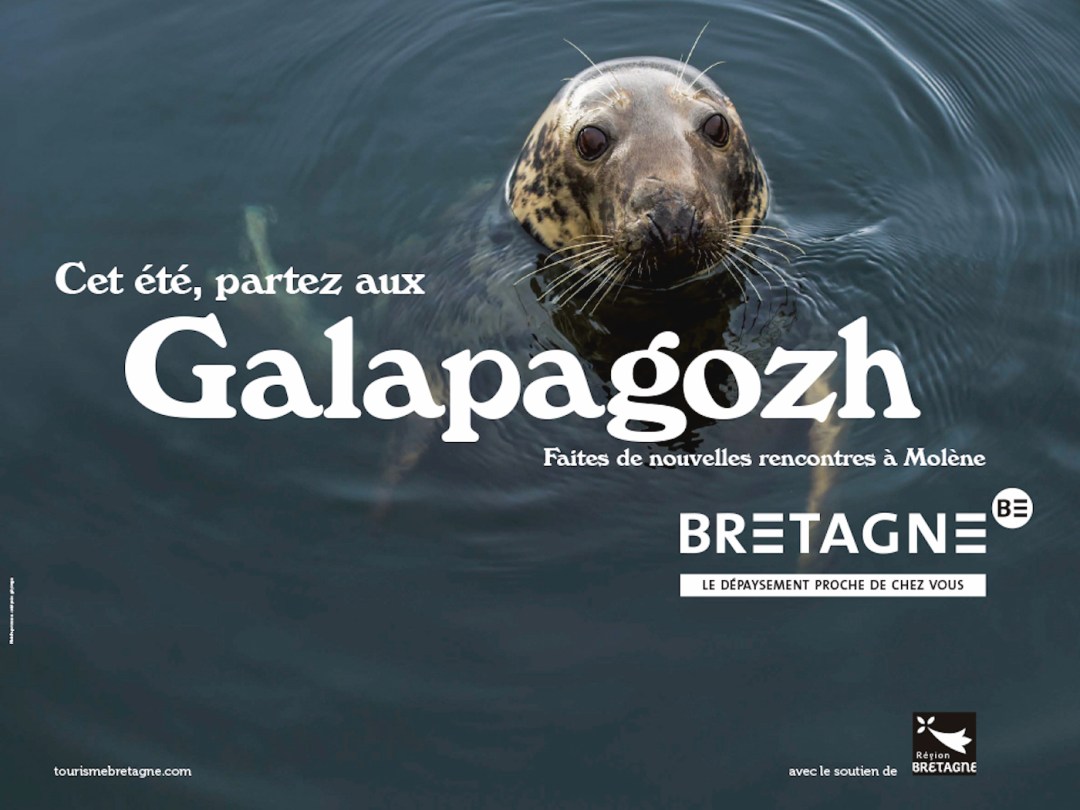 creapills's tweet image. La Bretagne détourne les destinations de rêve dans une campagne réussie

En voir plus : bit.ly/3eb9DqD