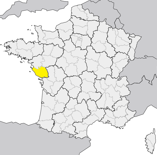 MeteoVigi's tweet photo. 📣 Le département Vendée (85) est en vigilance jaune pour orages 🌩.
#meteo #meteovigilance #vigilance #vigilancejaune #orages #Vendée #meteo85
Vos vigilances => https://t.co/HoT7RZCYzX
Vos prévisions => https://t.co/25VFyztsUx https://t.co/6UCwNHQbPk