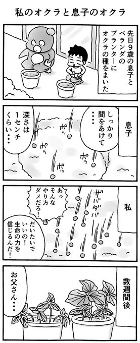 私のオクラと息子のオクラ 