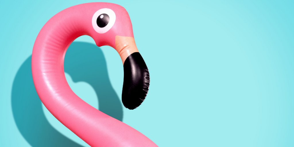 CMApartments's tweet image. Did you know that the plastic pink flamingo is the official bird of Madison? What an icon! 🦩

#madisonofficalbird #madisonflamingo #madisonapartments