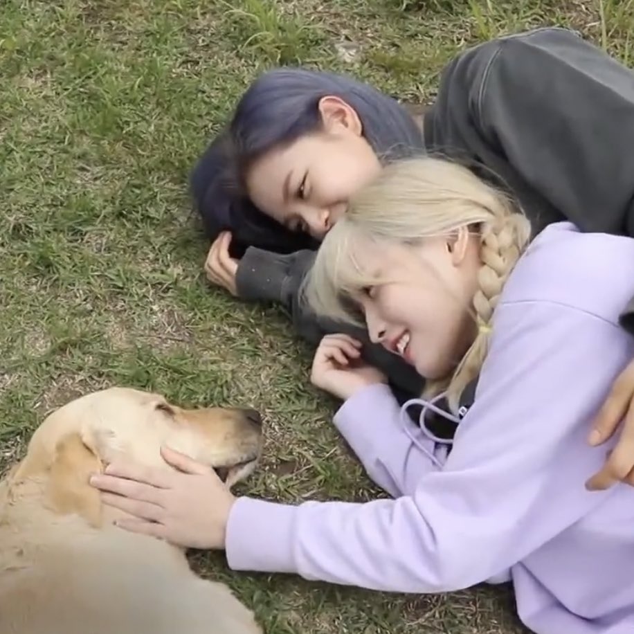 lq jeongyeon (@lowjeong) on Twitter photo 