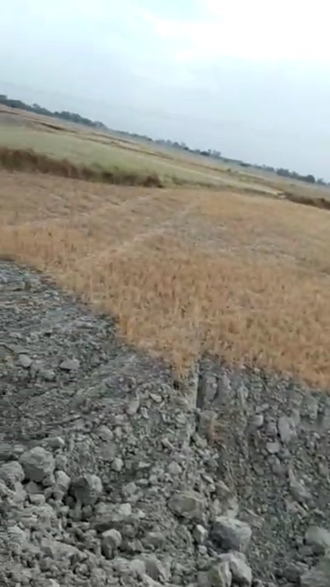 SudhirsinghPal6's tweet image. 