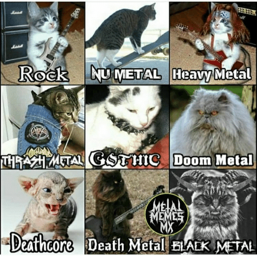 black metal cat meme