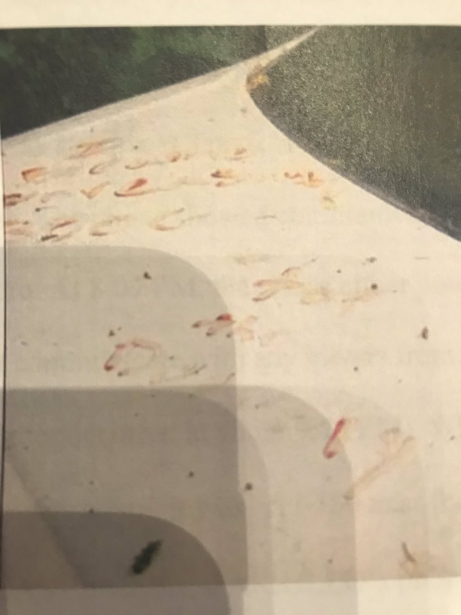 mgafni's tweet photo. The story behind an Air Force staff sergeant & Boogaloo follower who is alleged to have recruited a accomplice driver by Facebook to help hunt cops as part of anti-government extremist ideology
https://t.co/SfGPq6HOBt @serrano_alej @sfchronicle #stevencarrillo https://t.co/43i3qxBUXy