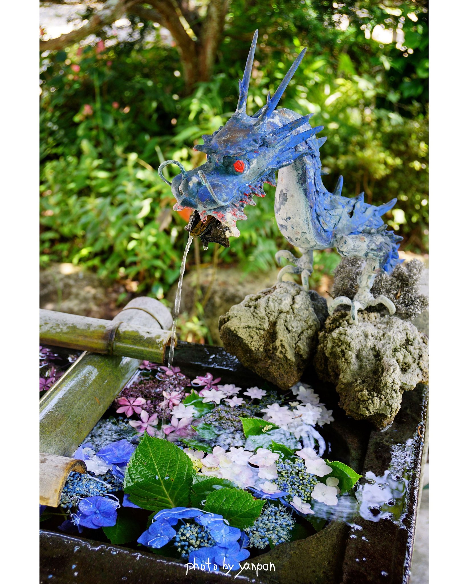 房総でハワイ気分 南房総市 日運寺 花手水と龍 手水の龍も華やかになる 房総にも流行りが来たか これは歓迎である 0617 撮影 房総の絶景 房総 千葉 絶景 南房総市 日運寺 紫陽花 花手水 T Co Nhu5l7vkre T Co