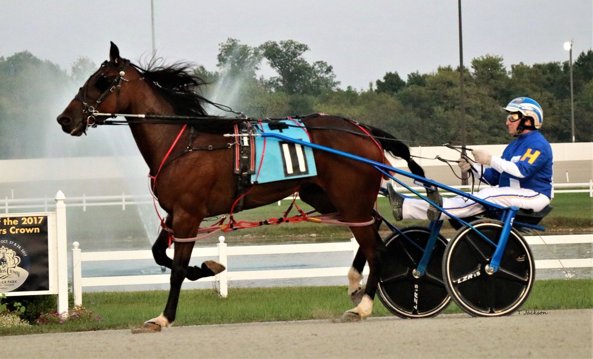 hoosiernations's tweet photo. Good Morning @JessicaOtten1 @Chris_wponies @JoannKi32885615 @rebelsart @jtlburn @kimberlymoier @GlenPeckinpaugh @KathleenBaitzel @joe_norte @elliotgordon2 @SadandSulk @dolenski_john @vnssa926 @flashraglan @JRhein98 @INStandardbred @HoP_Racing  #ShadysStarlight #DaleHiteman https://t.co/XFgxSDF6bj