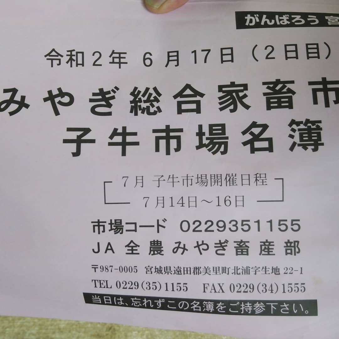 子牛市場 子牛市場