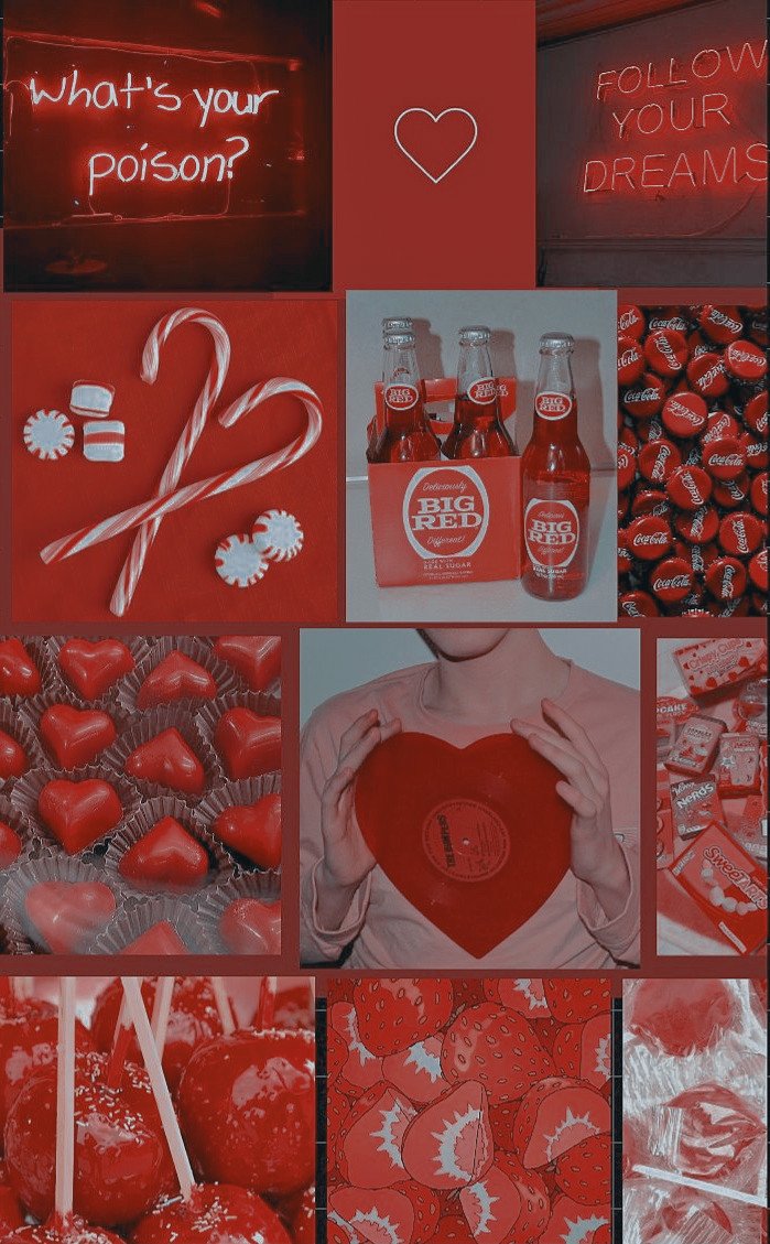 gatoraculo's tweet photo. Red Aesthetic/estética vermelha ❤💘
#redaesthetic #rededit #estéticavermelha #editvermelha https://t.co/KYo7CbUubX