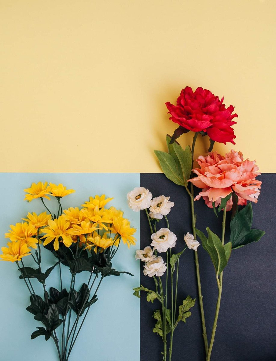 s_msonia's tweet photo. __" Será que con colores
Y el olor que dan las flores
...es más fácil ir viviendo"
#LetrasdeCanciones
#BuenosDiasMundo
#FelizMiercoles
#BuenosDias
#MagicColours
#MagicFlowers https://t.co/AzNkv797Jk