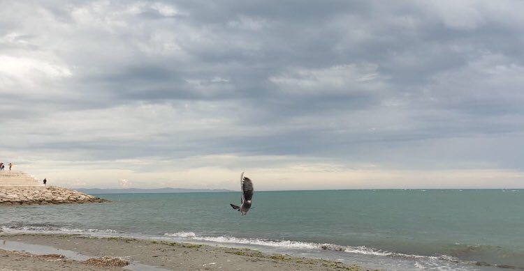 AndItalba's tweet photo. Good morning🌫
#italbatravel https://t.co/8woPvAbbkh