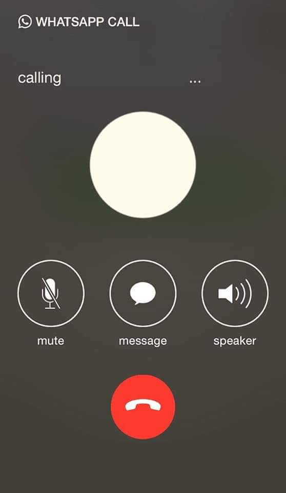 ChamAngilason's tweet photo. You See This CALL
You See This WRAP
You See This SEAN

What Is Our Government Known for? 

🏃🏃🏃 https://t.co/kSIxLQWtTQ