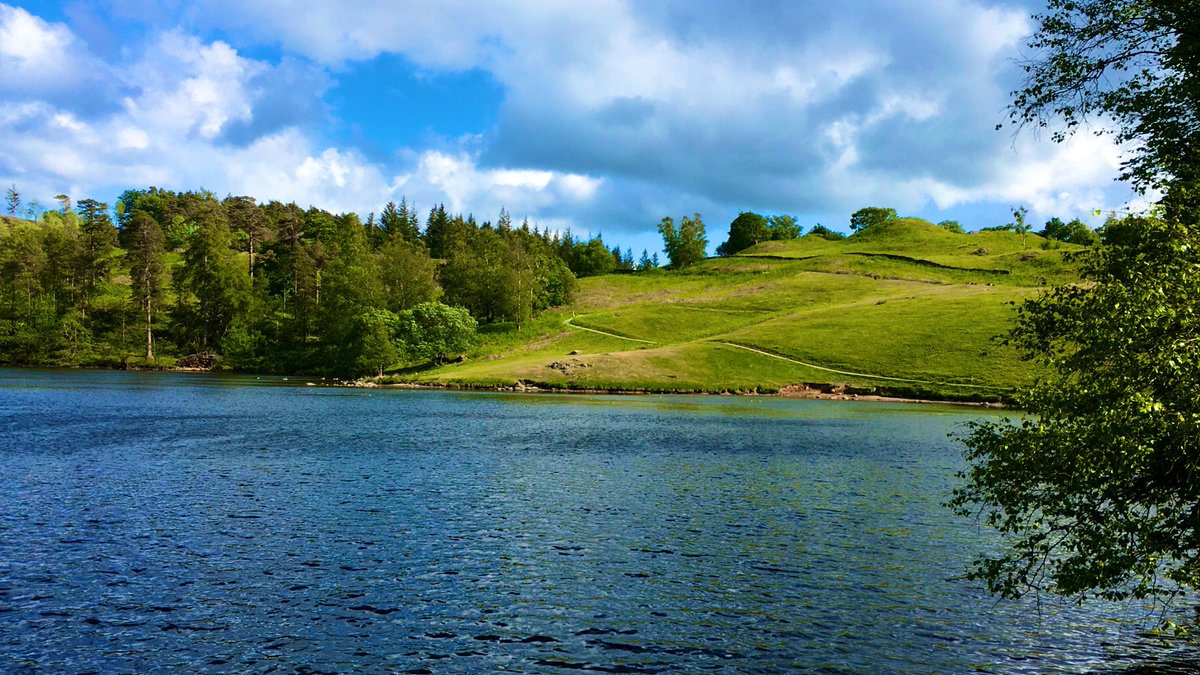 Wonderful 💕#WednesdayThoughts lovely #photos #TarnHows 🐟 with  the money tree 💰🌳 #LakeDistrict