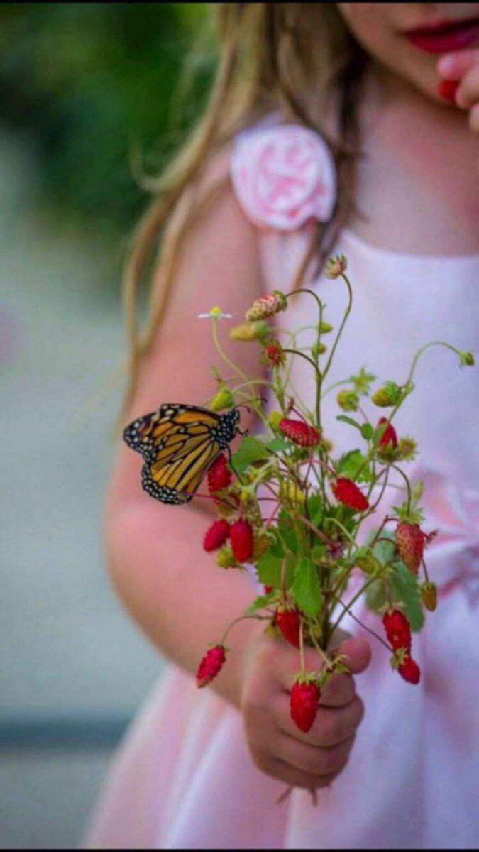 #صباح_الخير
للوجوه المتعبه  التي لم  تجد احضان  دافئه  تغفوا  عليها🍃🌸.