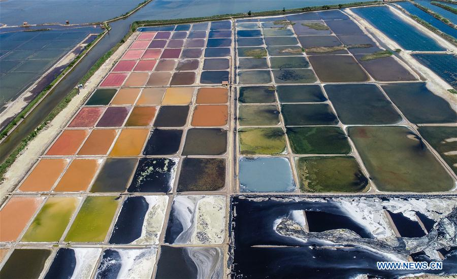 ChinaDaily's tweet photo. #GlamorChina Aerial photos show a patchwork of #saltfields in Gangxi township, Rongcheng, East China's Shandong province. https://t.co/GfKylZ5rYp