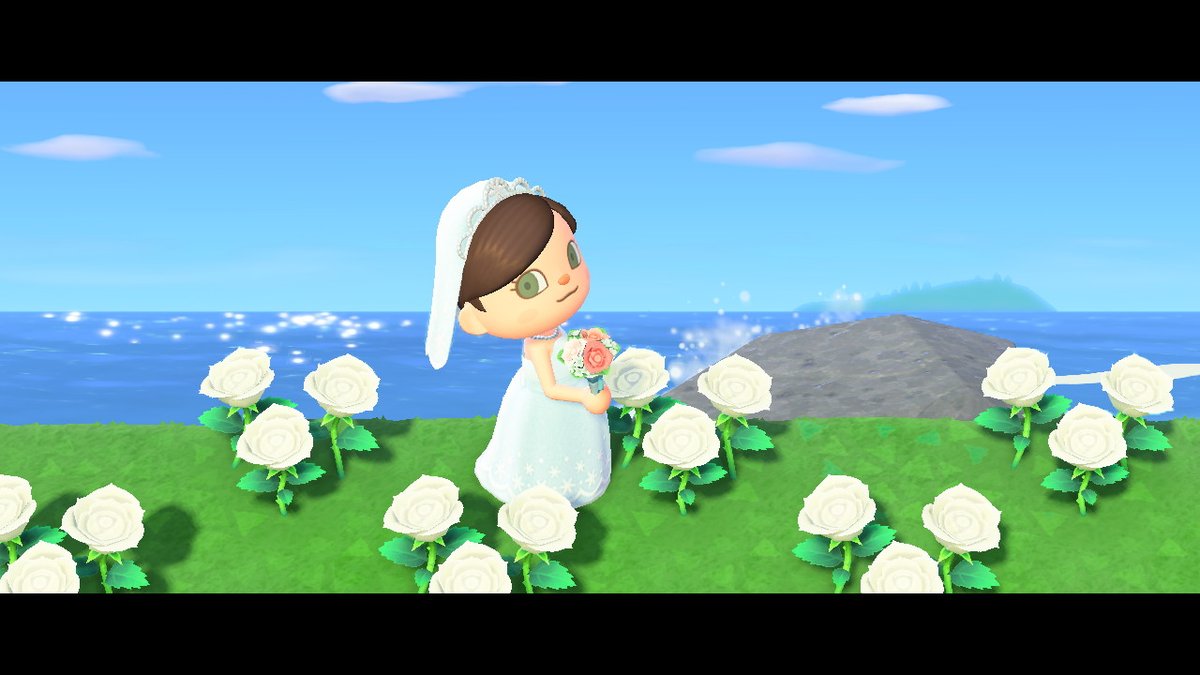 Belphe_Z's tweet photo. #动物森友会 #AnimalCrossing #ACNH #NintendoSwitch https://t.co/7ptsIDuKCi